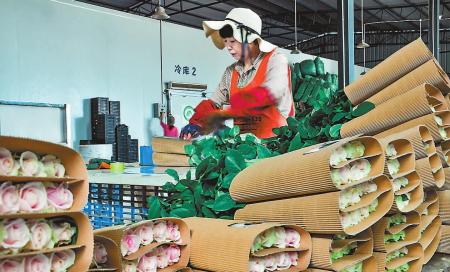 λ̽ũҵƼ޹˾ڵľϪʻزְװ䣬ڶõлзּװ14£òۼƵ8.6򵥡 Ϫձȫý ǿ 